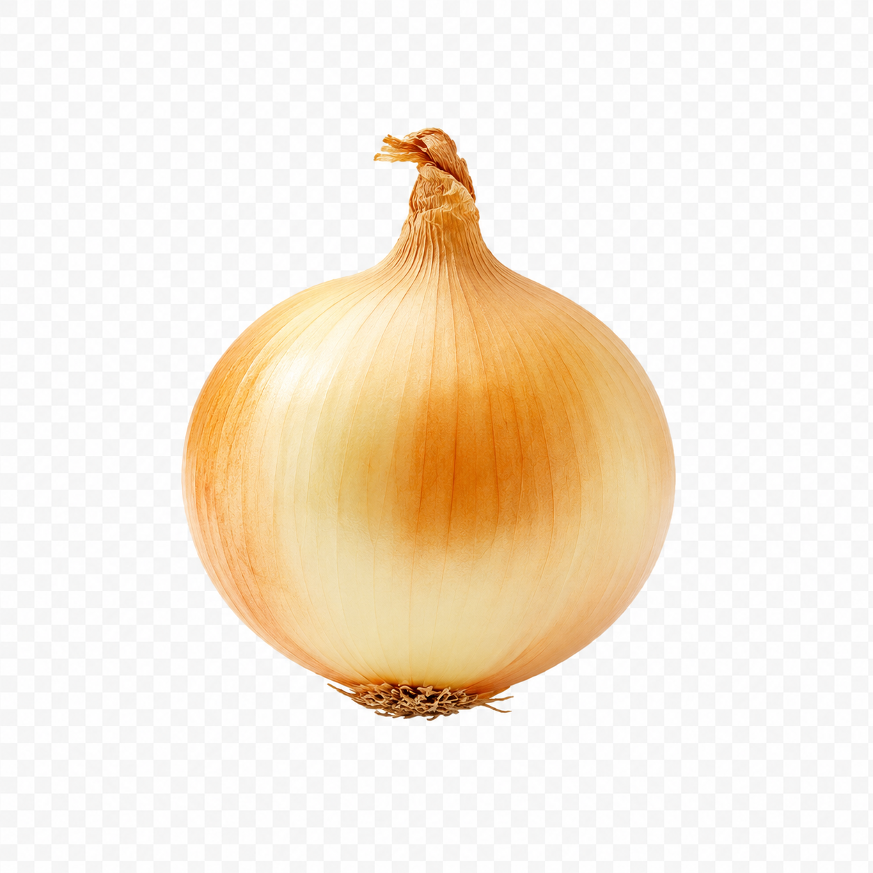 Cebolla